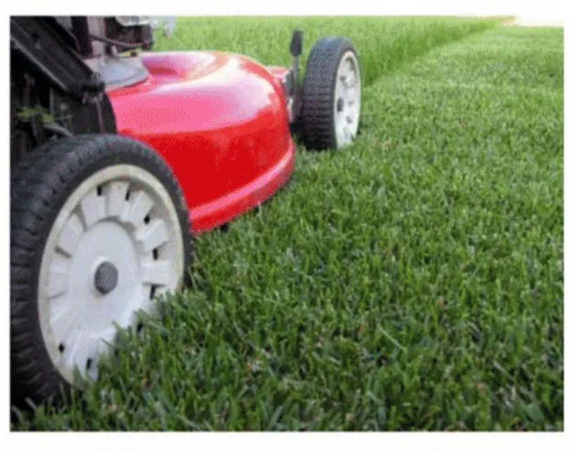 Contour TRL Explaination